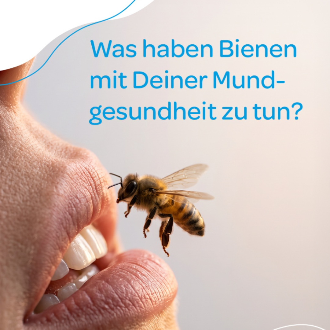 Bienen und Mundgesundheit