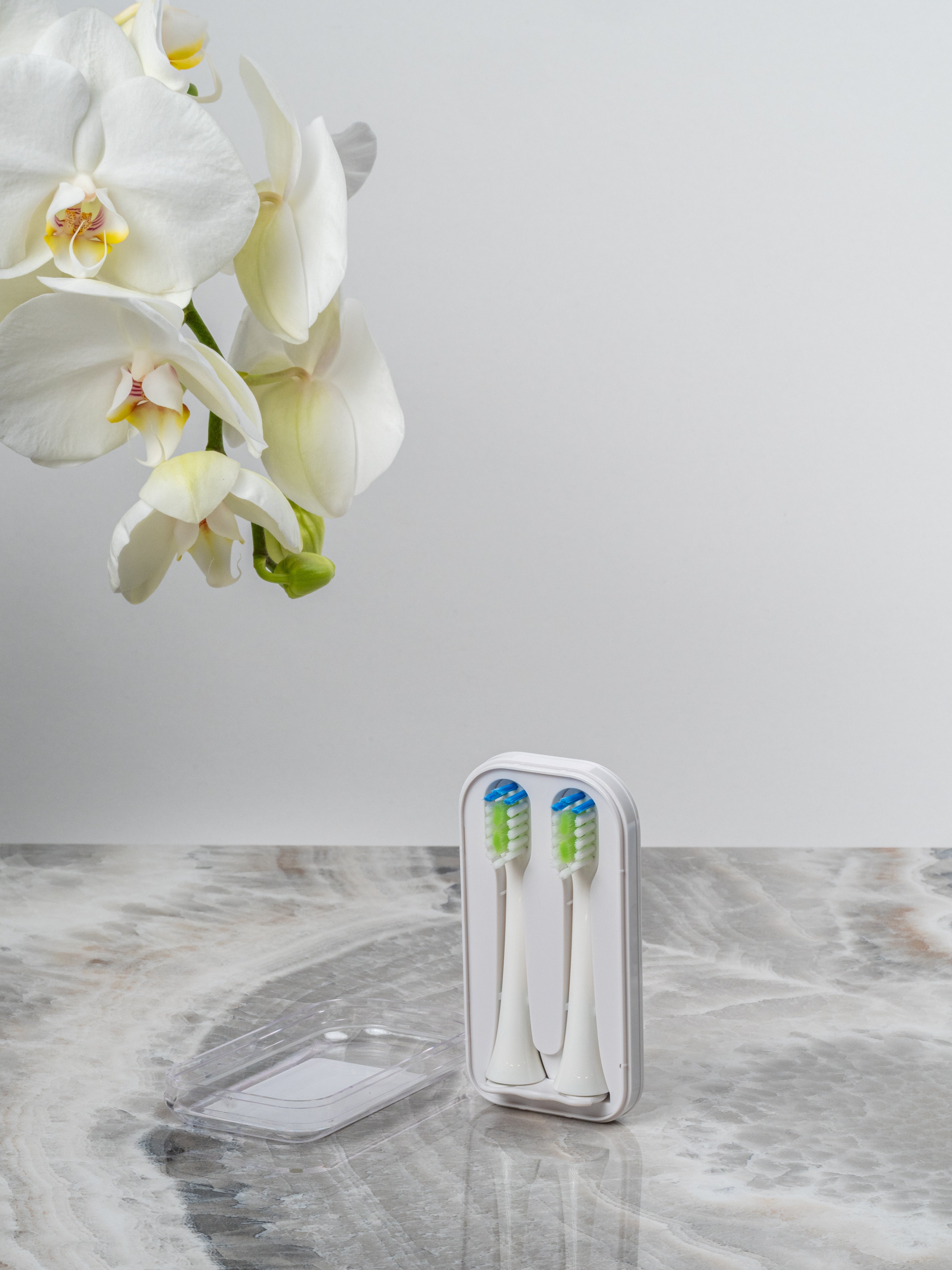 Bürstenköpfe stehend in ihrer Umverpackung für eine elektrische Schallzahnbürste.