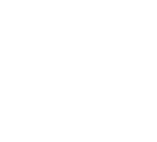 Icon unabhängige Qualitätskontrolle